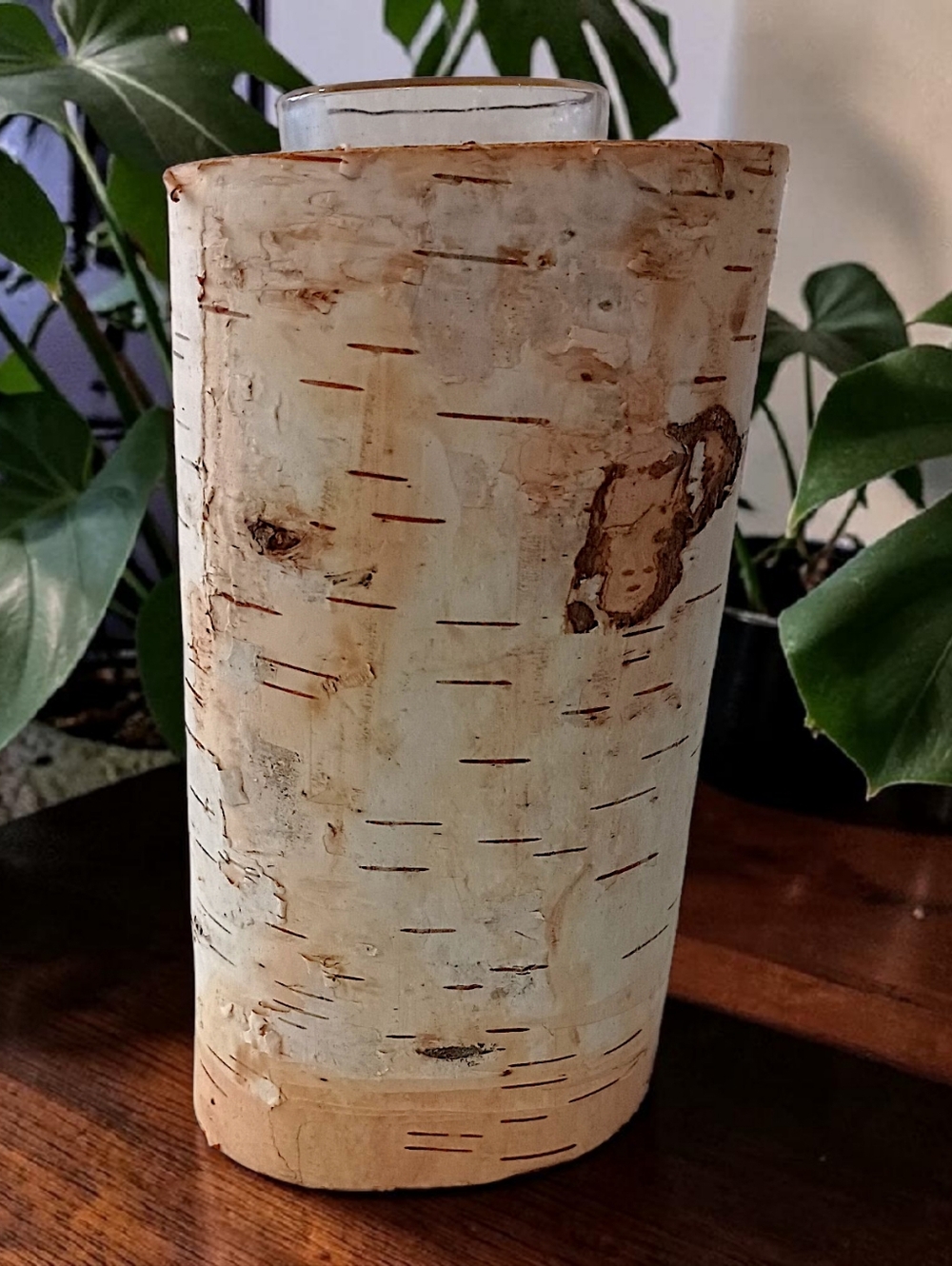 Real Birch Wood Candle Holder Live Edge Woodsy Rustic Cabin Farmhouse Autumn
